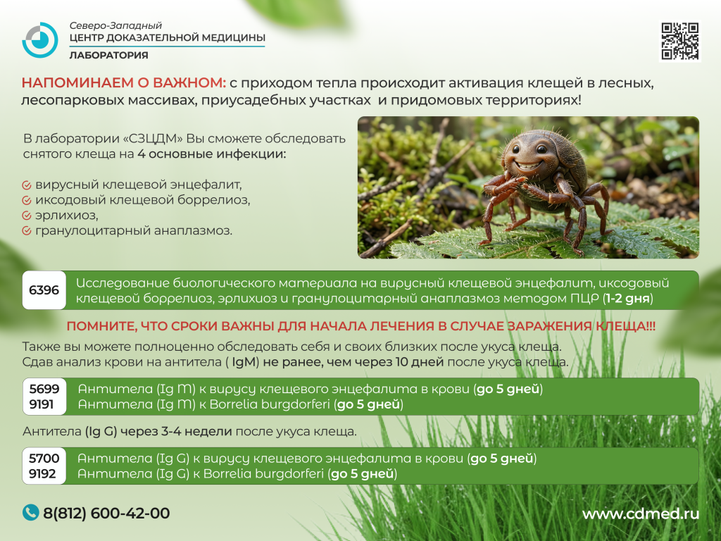 klesch.png